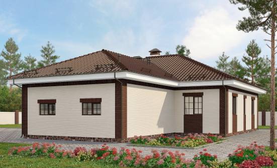 160-015-П Проект одноэтажного дома, гараж, доступный домик из твинблока Кемь | Проекты одноэтажных домов от House Expert