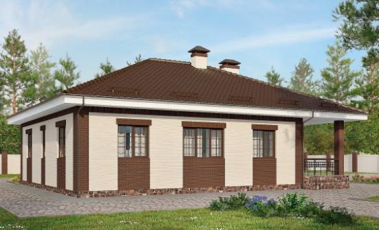 160-015-П Проект одноэтажного дома, гараж, доступный домик из твинблока Кемь | Проекты домов от House Expert